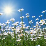 Spring into the Spring Season with Healthy Sobriety Tips
