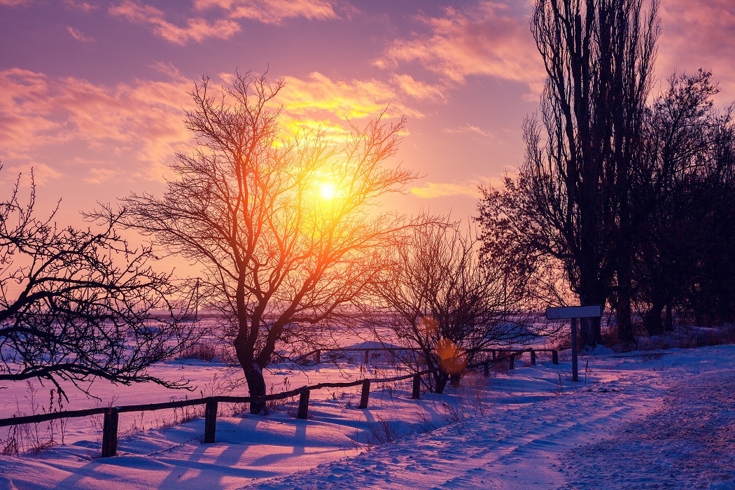 Winter rural landscape at sunset