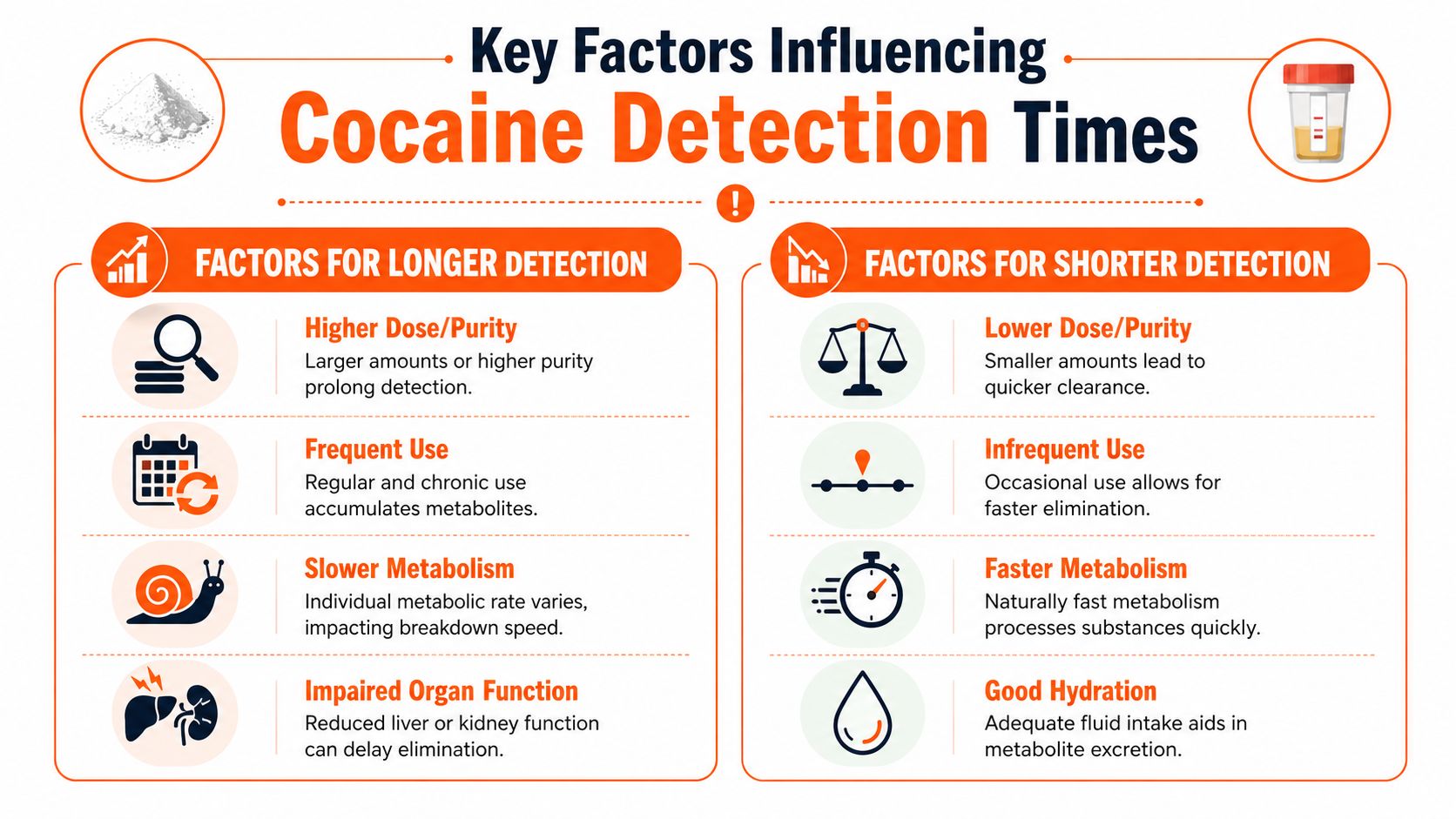 An infographic illustrating the various biological and usage factors influencing cocaine detection times in the body.