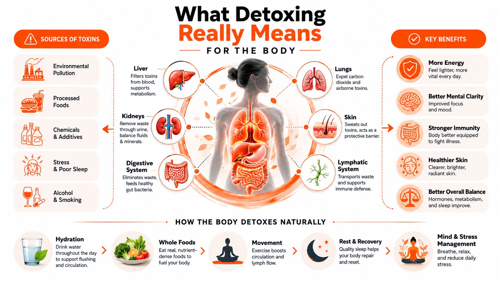 An infographic showing natural body detoxification processes, including key organs, toxin sources, benefits, and healthy lifestyle habits.