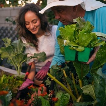 Gardening