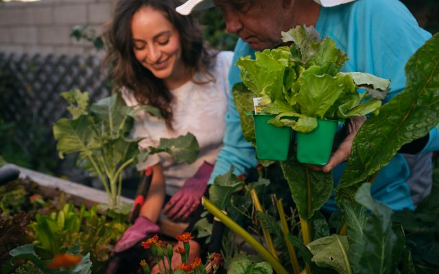 Gardening